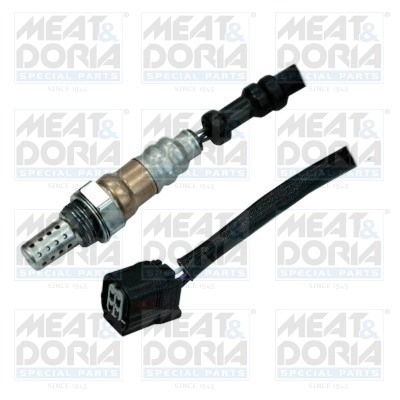 Oxygen Sensor